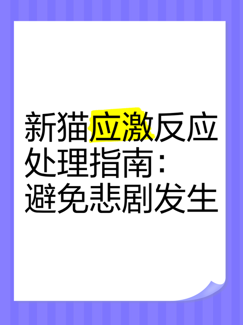 罗大美遇害现场曝光，悲剧背后的真相与反思  第4张