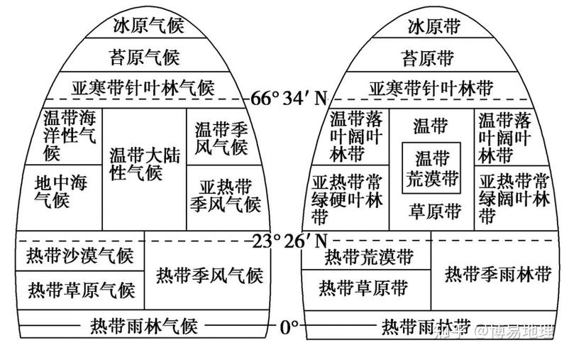 南国水乡花卉，绚丽多彩的自然艺术  第1张