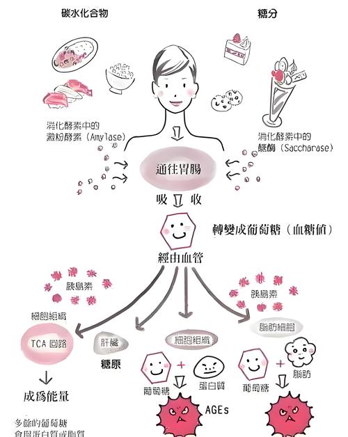 列车高空坠物事件频发，网友安全出行引关注  第3张