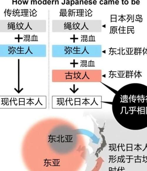 日本传统与现代玩具的魅力探索，马路一玩具日本  第5张