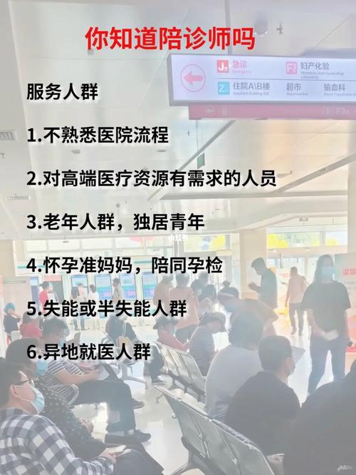 上海陪诊师需求激增，缺口达12万人，专业服务助力医疗健康新篇章  第3张