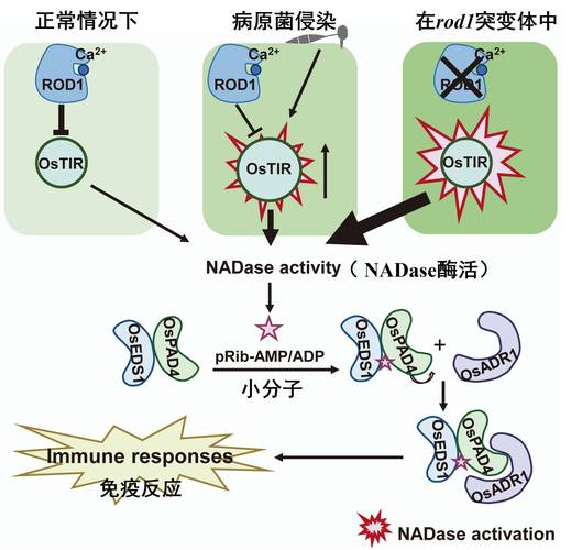 美方强迫乌克兰接受矿产协议，老胡的观察与考量  第4张