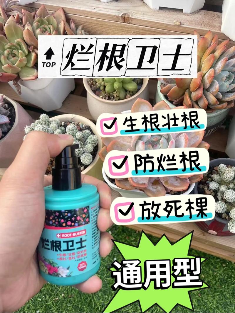 有效预防花卉烂根的方法与技巧  第1张