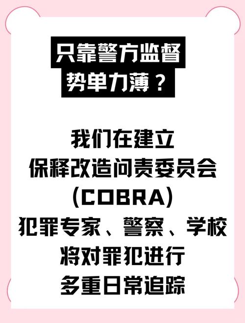 市场供需变化下的蔬菜价格大跳水分析  第4张