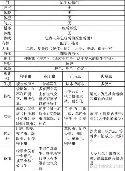 俄渔民意外捕获酷似外星人头部的深海鱼，神秘深海奇遇揭晓  第2张