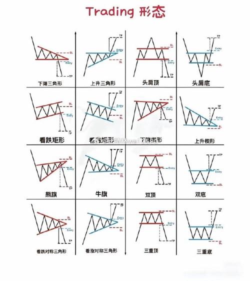 沭阳花卉的瑰宝，散尾葵  第1张