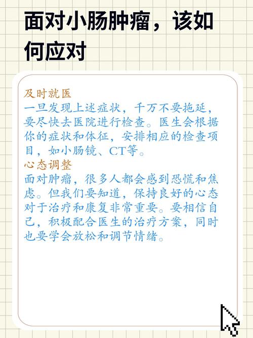 网络暴力之害，大衣哥事件女子当庭认罪认罚的警示  第4张