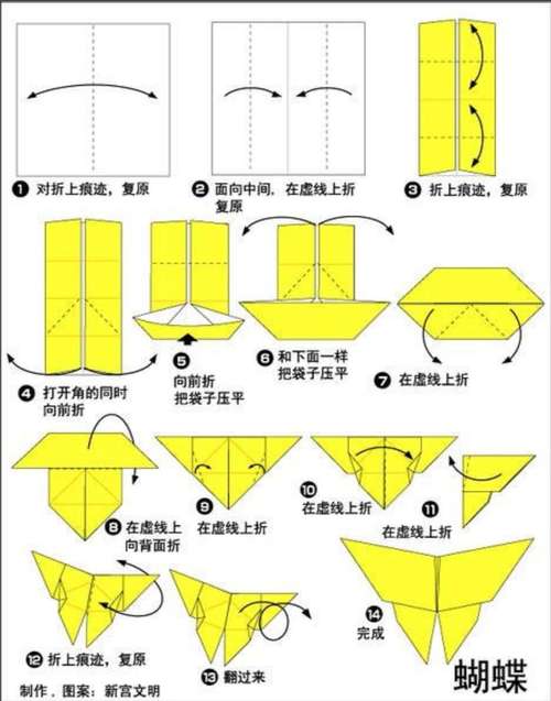 花卉盆栽盆景制作全攻略，从入门到精通的指南  第2张