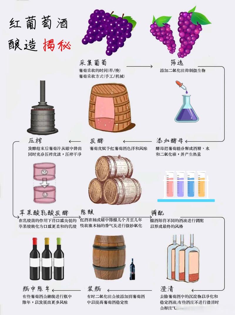 意大利卡萨红酒，品味生活的艺术之选  第3张