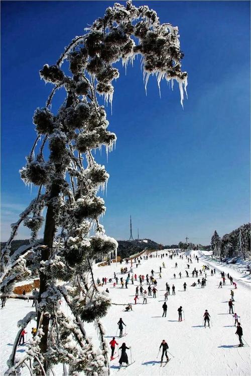 杭州周边万人赏雪潮引发交通拥堵焦点事件  第1张