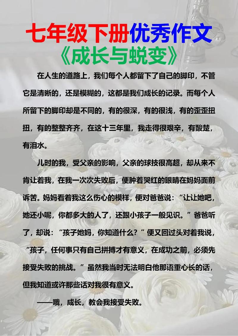 归巢之翼，大学毕业生照顾残疾父母的故事  第4张