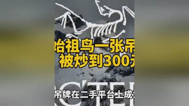 吊牌价格疯涨，300元一张背后的市场原因与影响  第1张