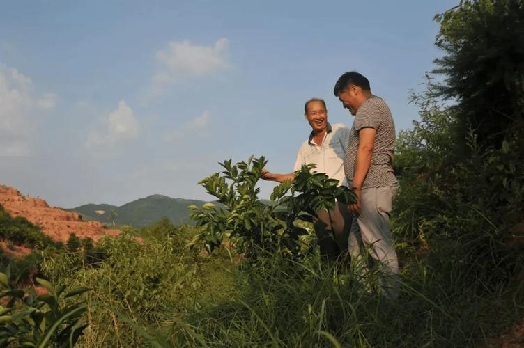 驻村书记舞动行政夹克，助力乡村振兴带货舞  第1张