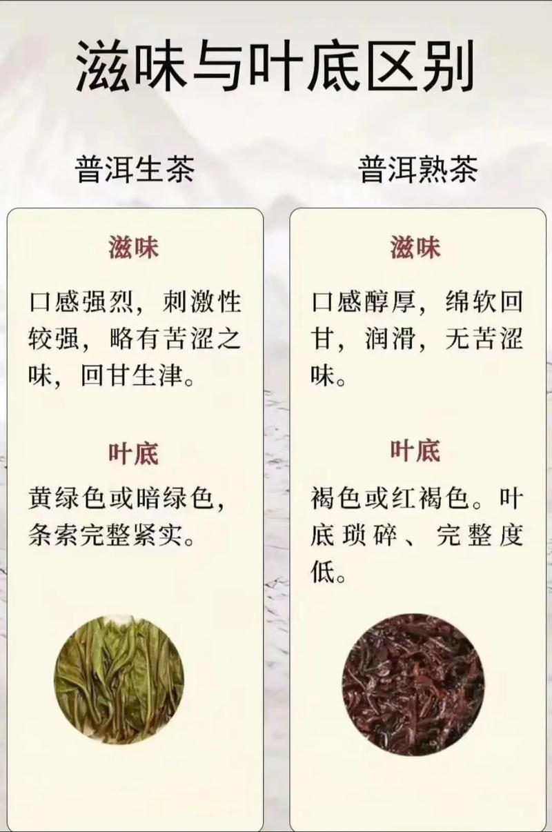 晚熟茶叶品种排名及特点解析  第2张