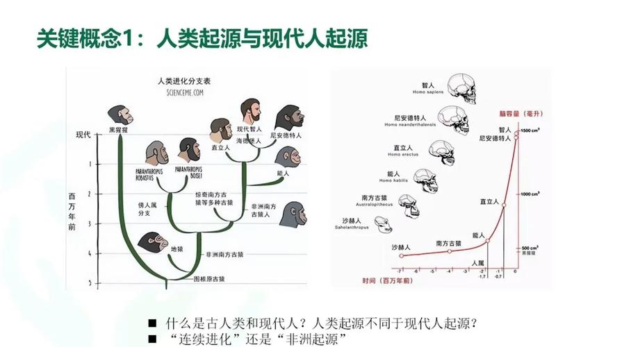 古代与现代人体质差异之探究，究竟差距有多大？  第2张