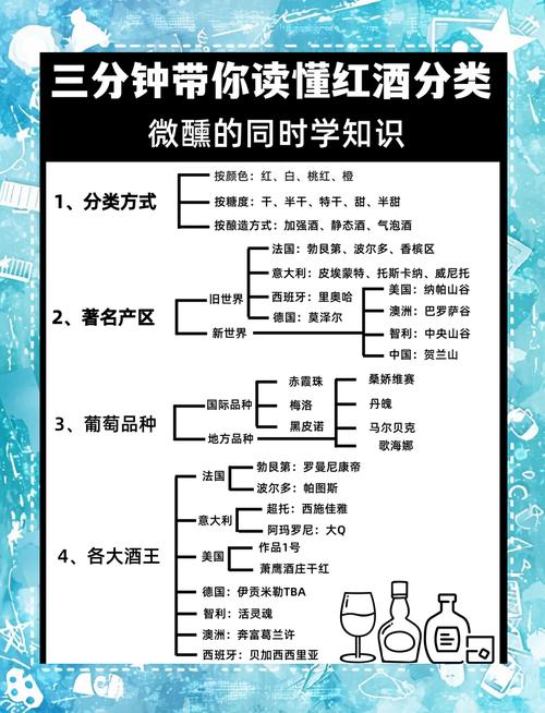 圣诞佳节小阿姨品鉴红酒的温馨时刻  第3张