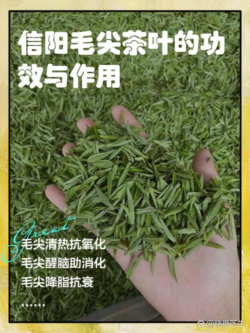 如何鉴赏毛尖茶叶的优劣，综合色、香、味、形多维度判断  第6张