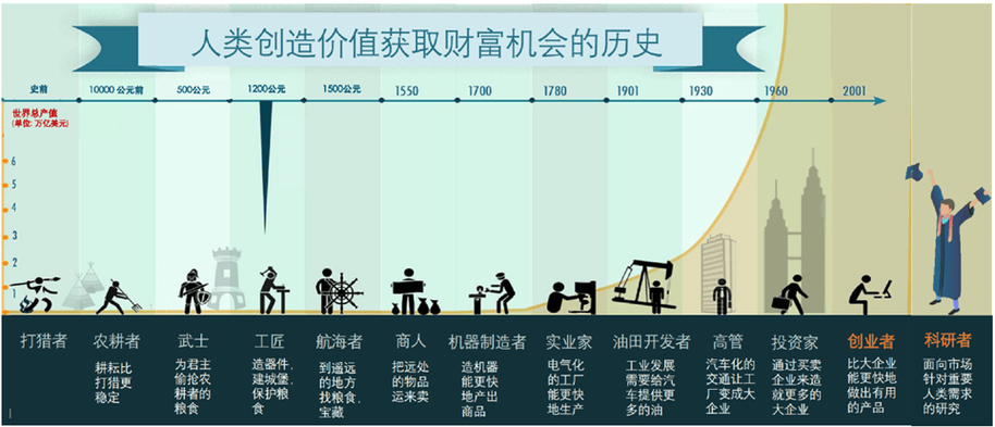 茶叶生产周期的深度解析  第5张