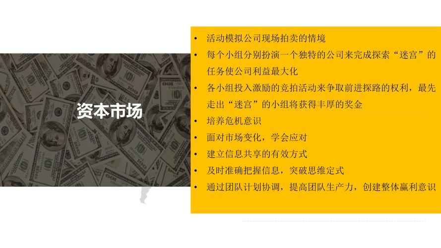 民营企业全球大市场策略、挑战与未来展望  第3张