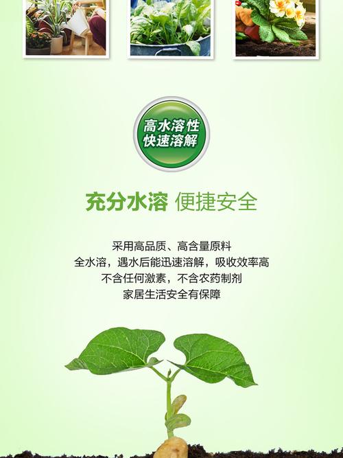 宁波水溶花卉肥料价格解析  第4张