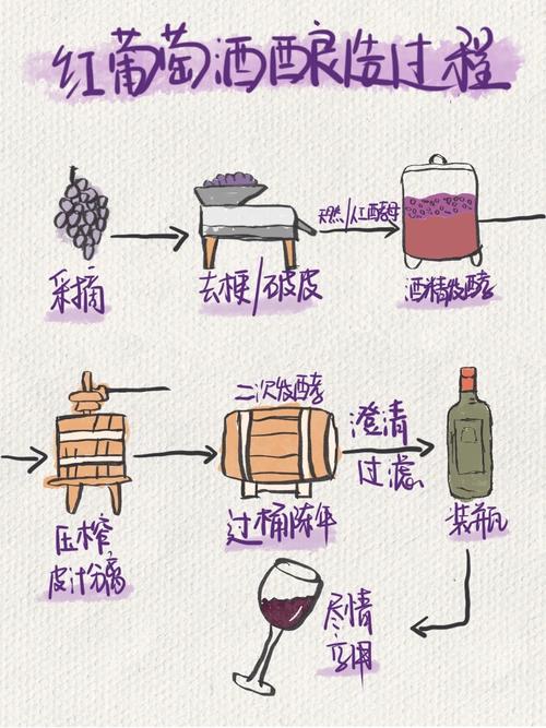 2011年份波尔多红酒，品鉴与鉴赏的艺术  第2张