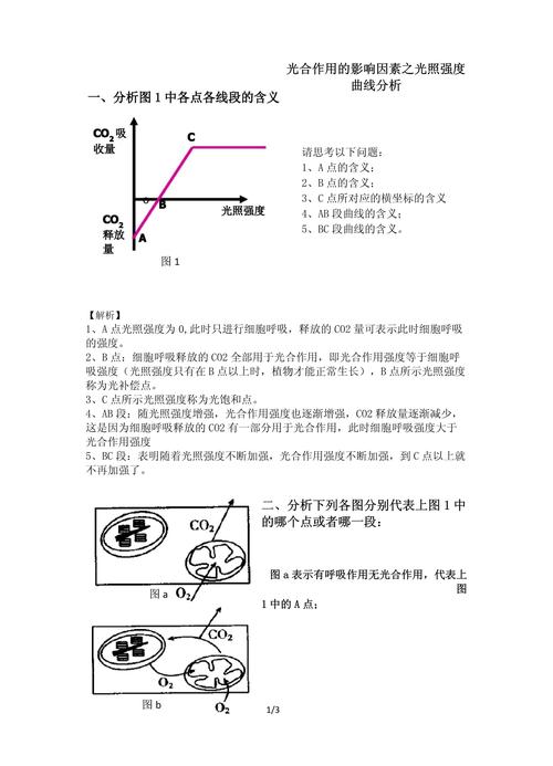 事业编招聘引发争议，照护老人如厕职责与人文关怀的平衡探讨  第4张