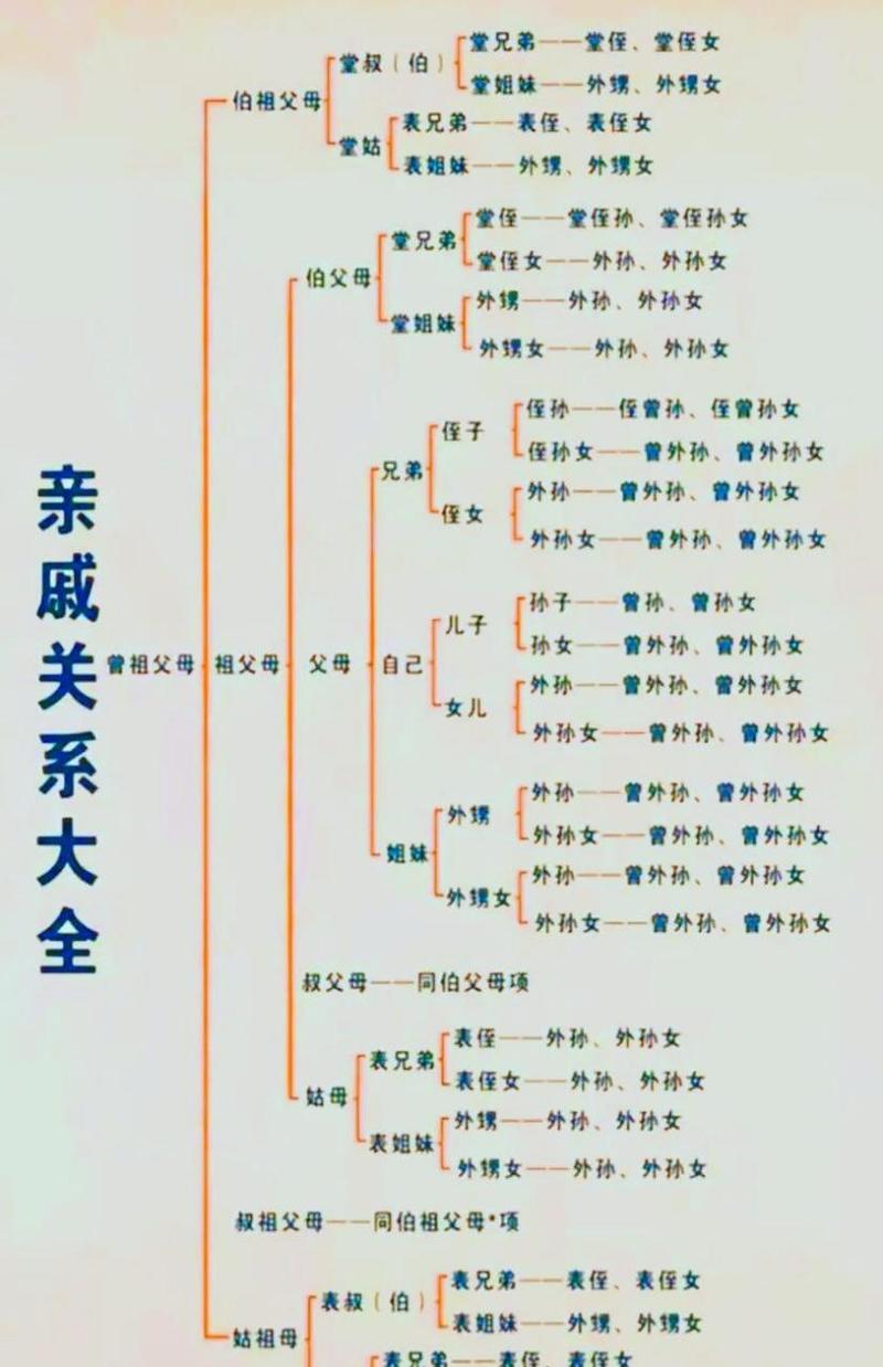 柯文哲申请解禁，家庭风波再起，柯母柯妻将出庭的背后故事  第5张