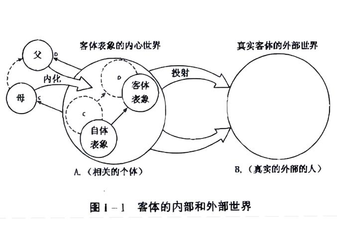 张本智和近期状态分析  第2张