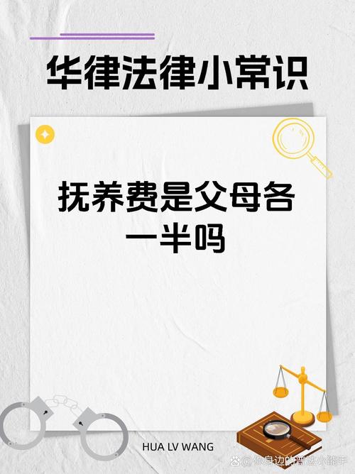 83岁老人赡养费与低保权益的深度解析，子女赡养费导致低保被取消的原因及影响  第2张