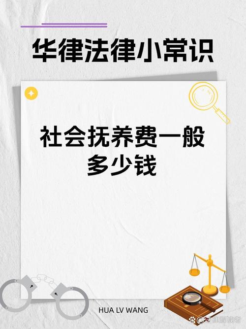 83岁老人赡养费与低保权益的深度解析，子女赡养费导致低保被取消的原因及影响  第4张