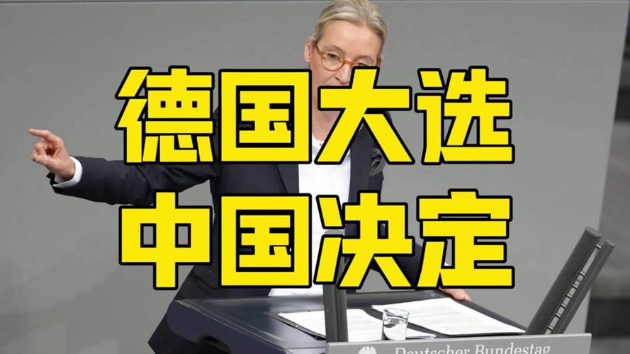 魏德尔，德国新总理的潜在新人选？——深度解析与展望  第1张