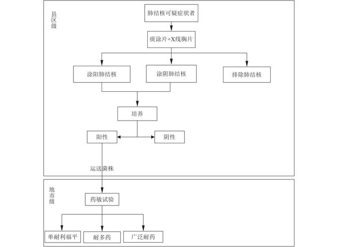 男子一年多持续呕吐，开颅手术取出惊人寄生虫  第2张