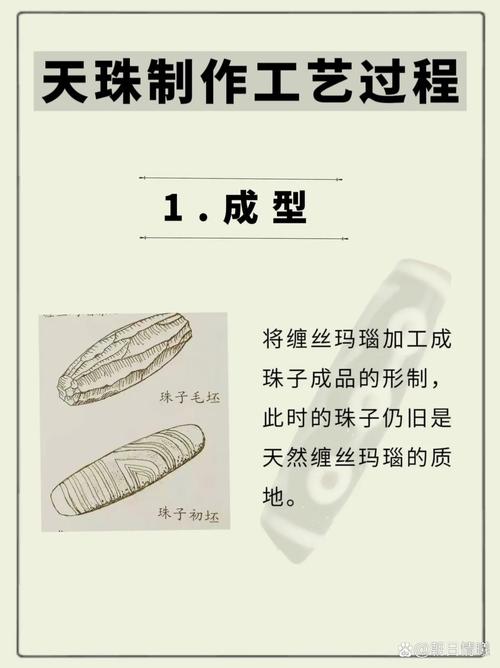 鲫鱼汤与茶叶绿豆的完美融合艺术  第2张