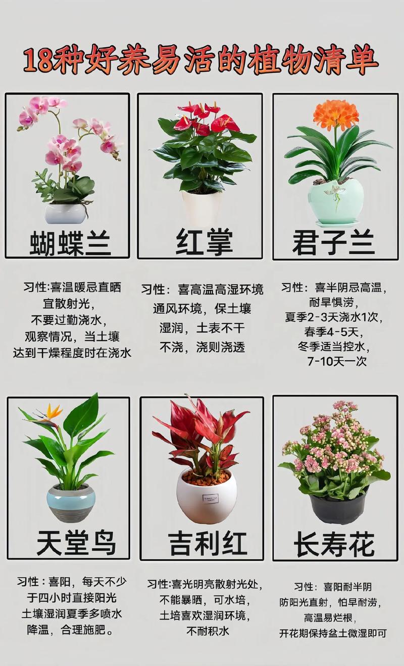 庭院花卉种植指南，打造美丽花园的必备攻略与适合庭院的花卉推荐  第3张