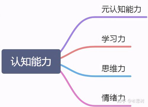 2到4岁孩子独立成长的必学技能  第4张