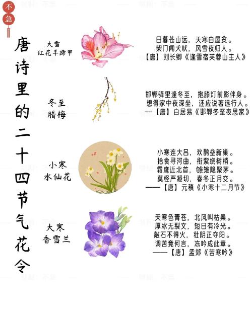 南唐花卉之韵的诗词艺术  第1张