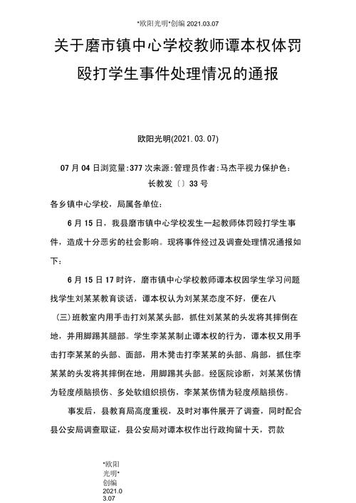 湖南老人遭男孩轻微触碰后摔倒，事件回顾与深度解析  第2张