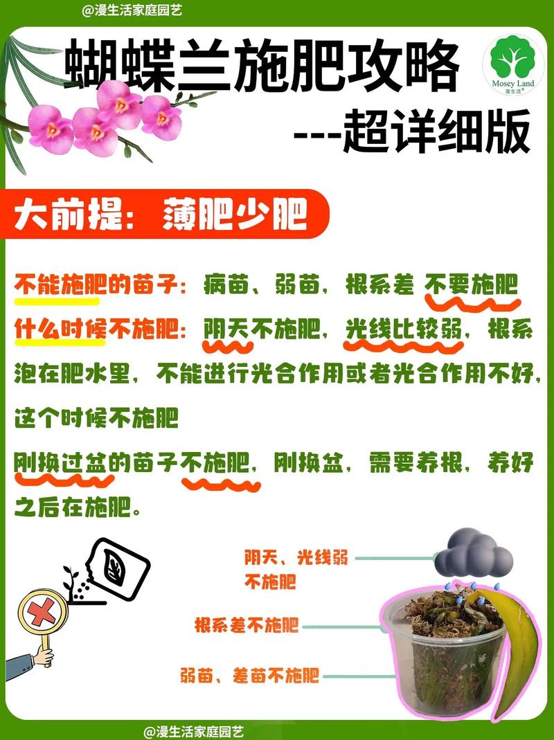 上海家庭花卉肥料生产批发，绿色生态助力花卉茁壮成长  第4张