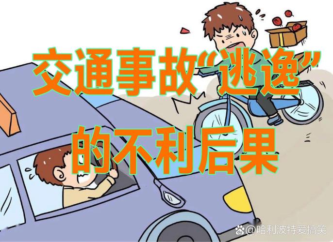 粪车逆行撞小车，一车粪泼洒其上，意外事故现场惊现  第3张