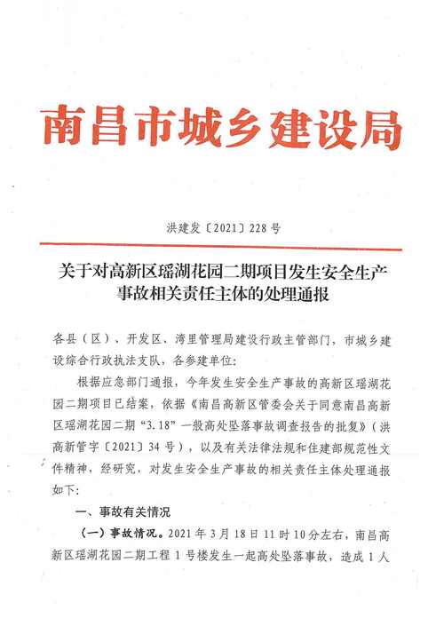 野猪横穿山路，司机避让不及撞上，交通事故中的动物与人类责任探讨  第3张