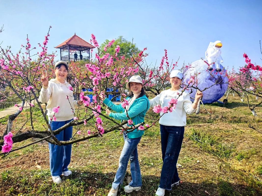 春日踏青赏花热潮席卷全国，各地文旅活动盛况如火如荼  第1张