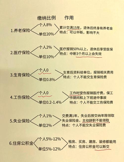 媒体聚焦，平台积极举措，为外卖骑手缴纳五险一金，保障劳动者权益  第3张