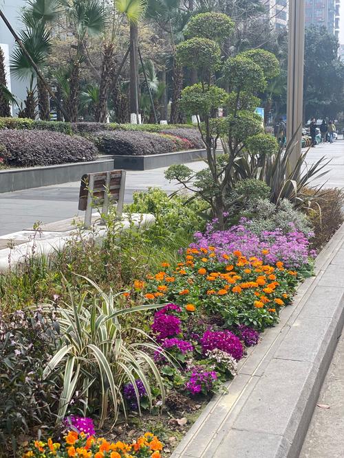 深圳花卉路，绿意盎然的都市花园之路  第2张